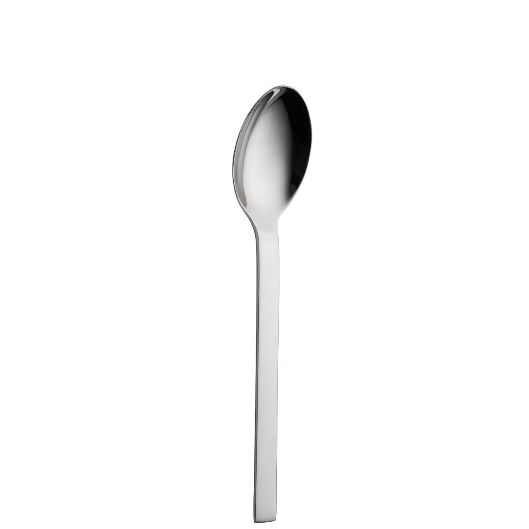 Galaxy Table Spoon