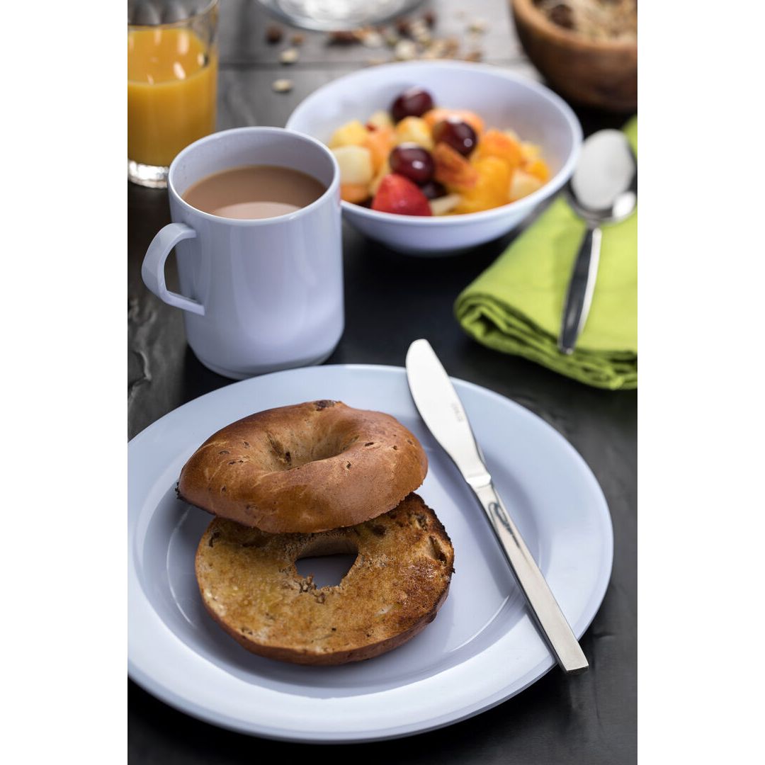 Wide Rimmed Plate 9" (23cm)