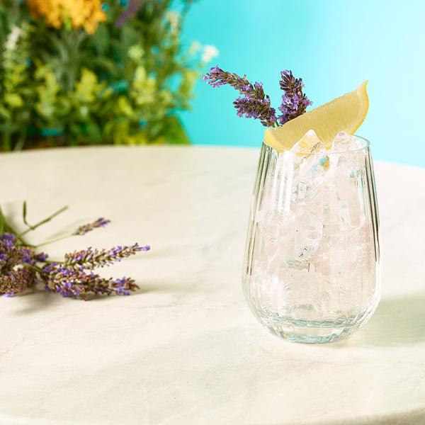 Twilight Polycarbonate Tumbler 50cl / 17.6oz