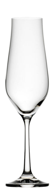 Tulipa Flute 7.75oz (22cl)
